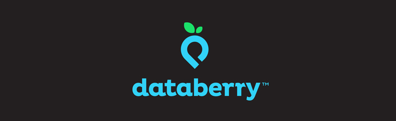 数据蓝莓公司标志设计